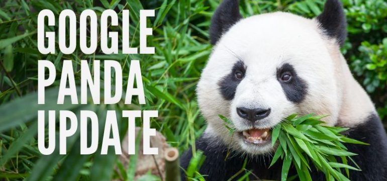 Google Panda Update