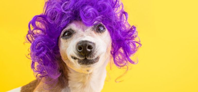 SEO-Tipps für Anfänger: So machst du deine Website sichtbar